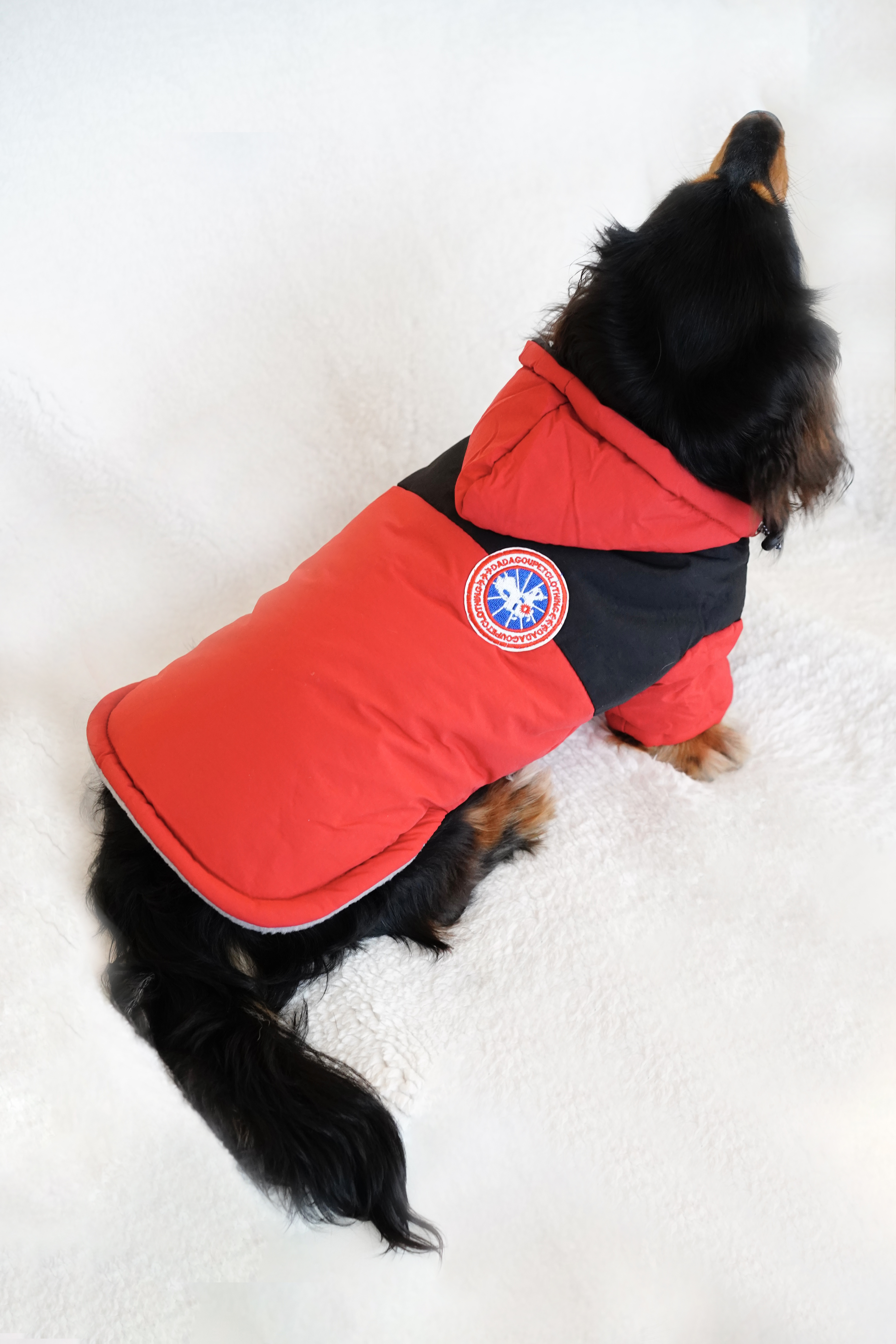 Red and black hooded dog jacket detail