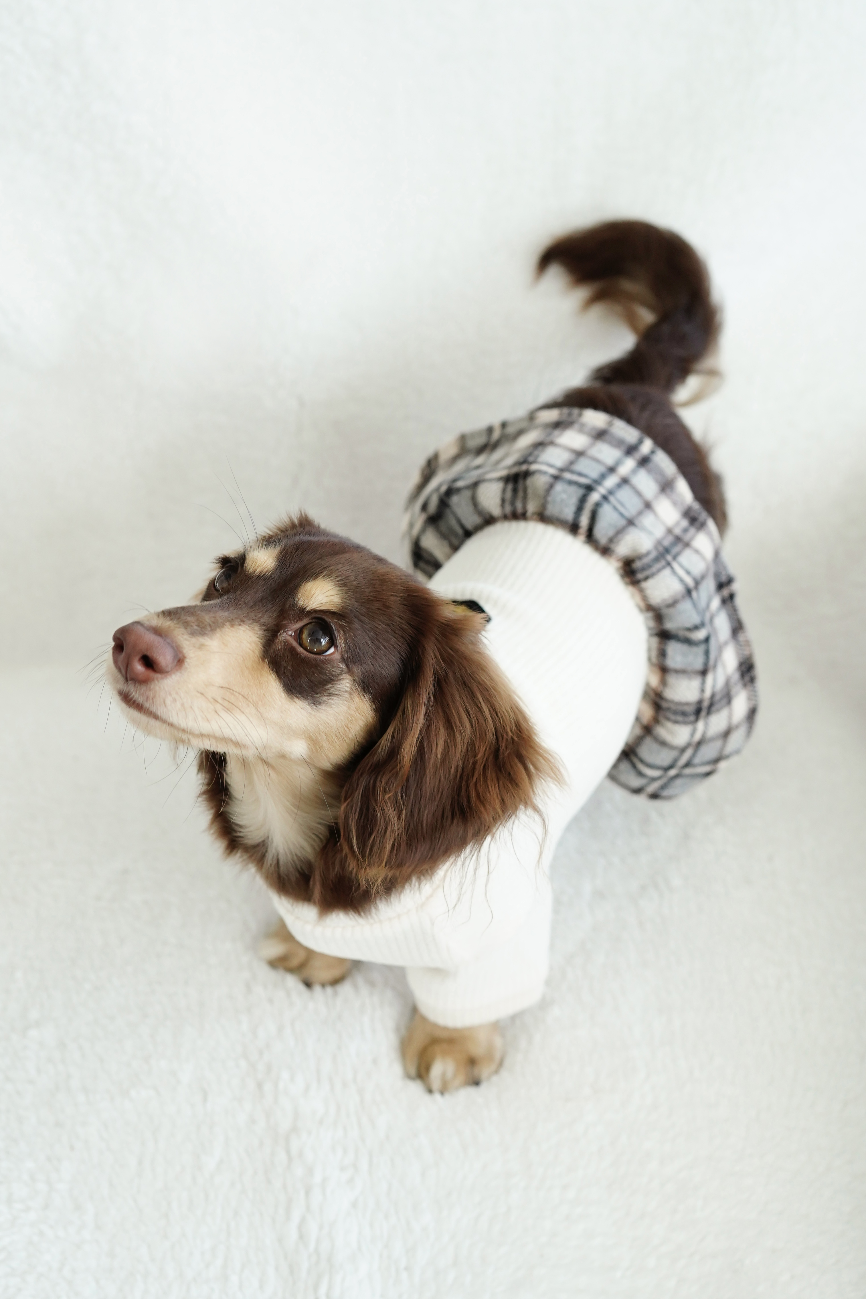 White knitted dog dress detail