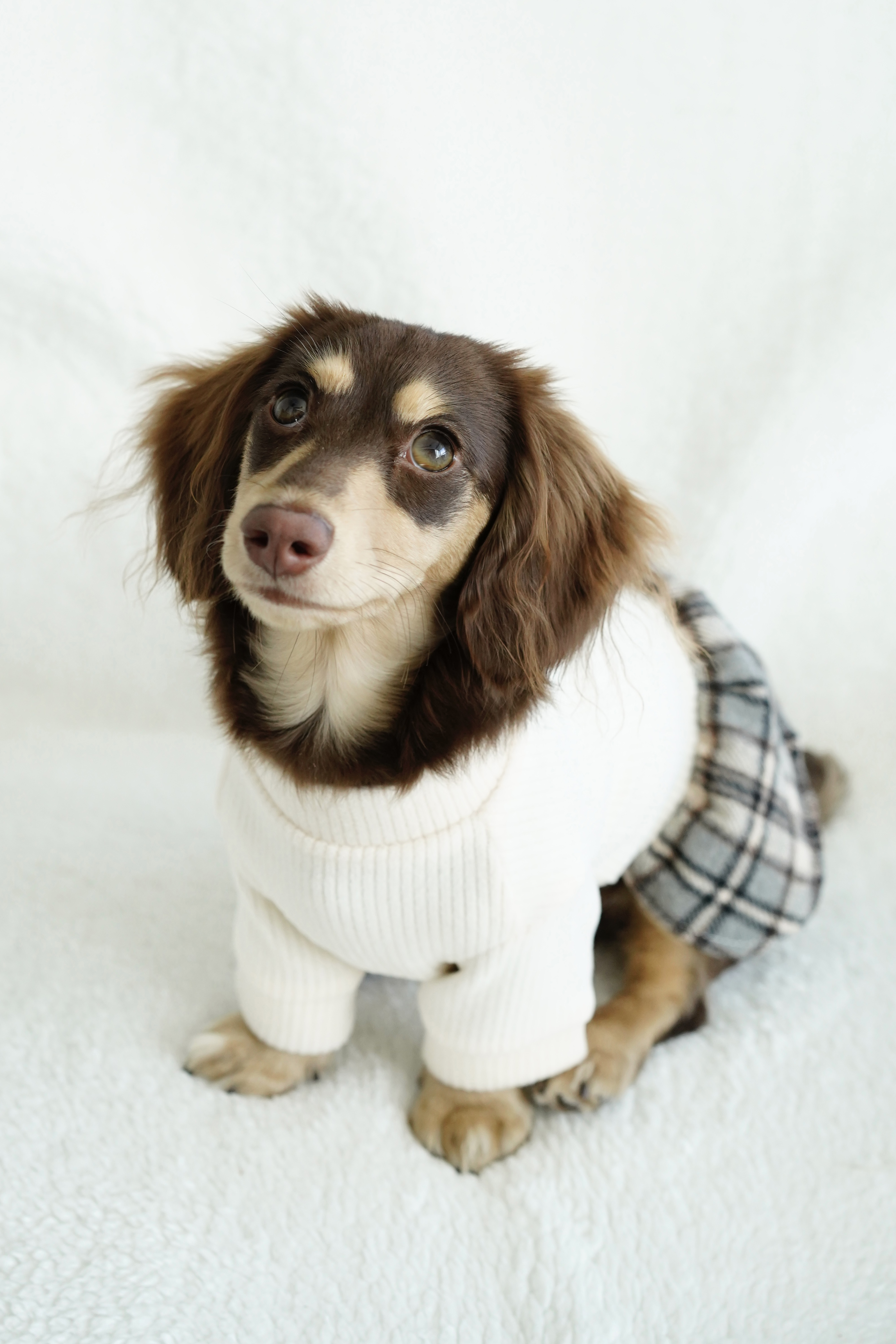 White knitted dog dress side view