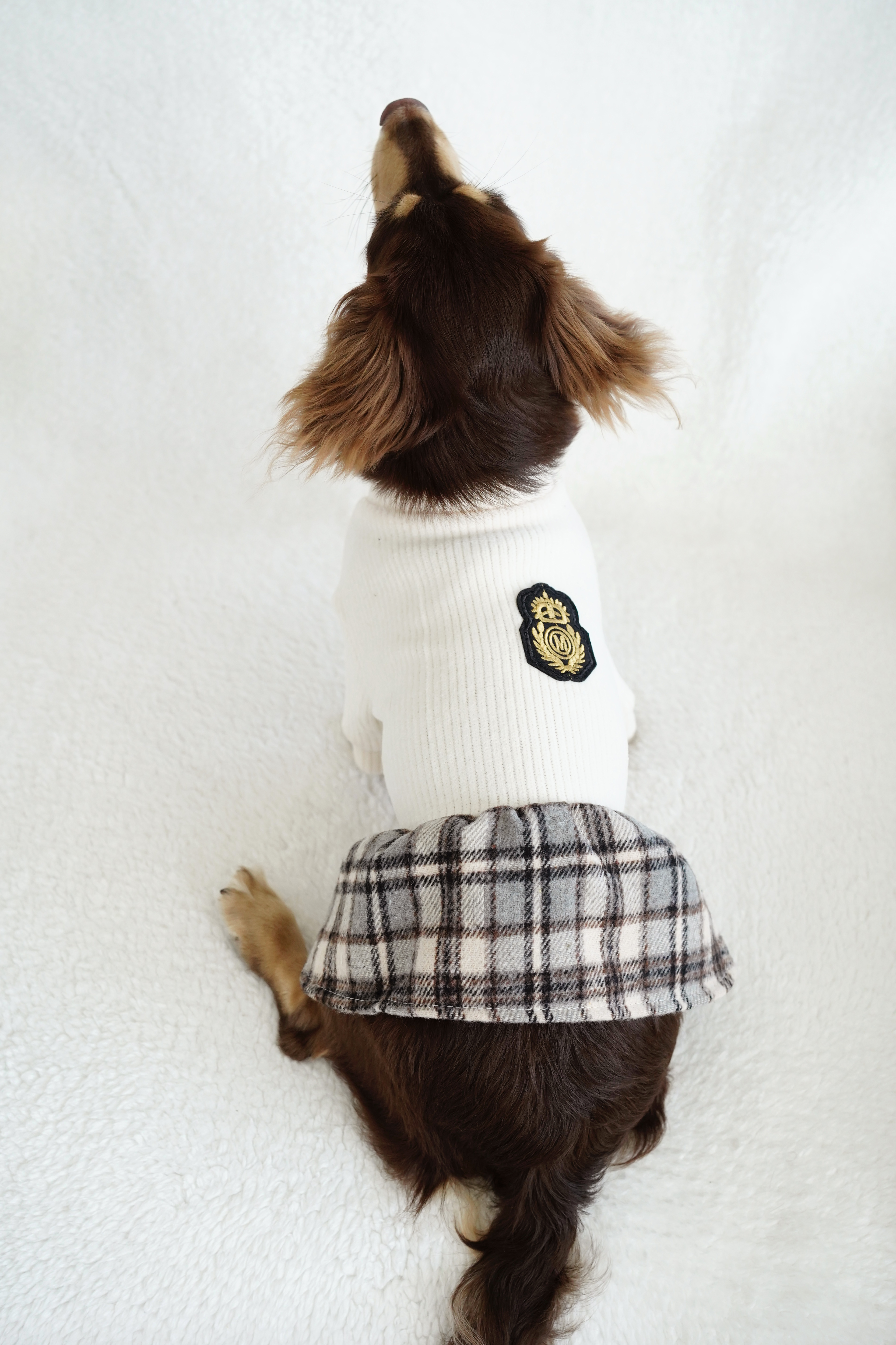 White knitted dog dress back view